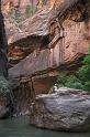 F004 N.P. Zion
